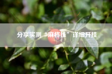 分享实测“麻将挂”详细开挂