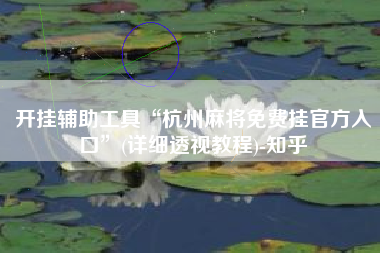 开挂辅助工具“杭州麻将免费挂官方入口”(详细透视教程)-知乎