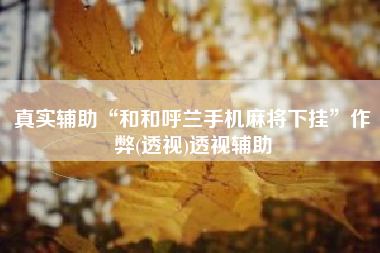 真实辅助“和和呼兰手机麻将下挂	”作弊(透视)透视辅助