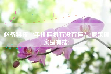 必备科技“手机麻将有没有挂”(原来确实是有挂)