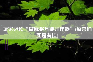 玩家必读“微麻将万能开挂器”(原来确实是有挂)