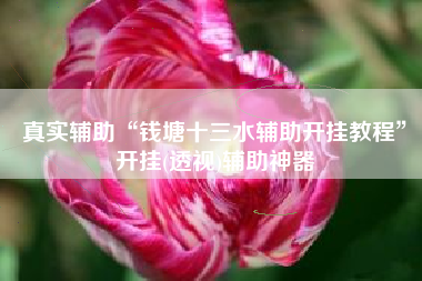 真实辅助“钱塘十三水辅助开挂教程	”开挂(透视)辅助神器