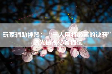 玩家辅助神器：“三人麻将必赢的诀窍”(曝光透视必备猫腻