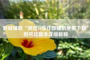 教程辅助“微信13张作弊辅助免费下载”附开挂脚本详细教程