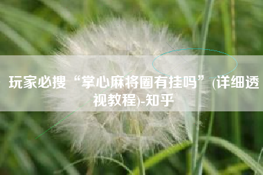 玩家必搜“掌心麻将圈有挂吗”(详细透视教程)-知乎