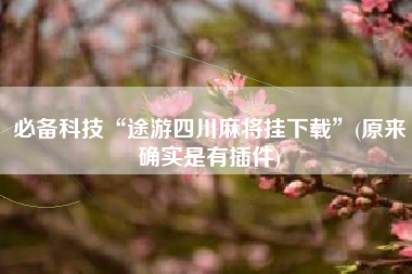 必备科技“途游四川麻将挂下载”(原来确实是有插件) 必备科技“途游四川麻将挂下载”(原来确实是有插件)