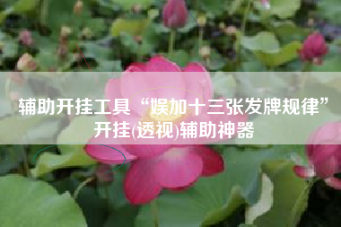 辅助开挂工具“娱加十三张发牌规律”开挂(透视)辅助神器 辅助开挂工具“娱加十三张发牌规律”开挂(透视)辅助神器