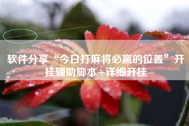 软件分享“今日打麻将必赢的位置	”开挂辅助脚本+详细开挂