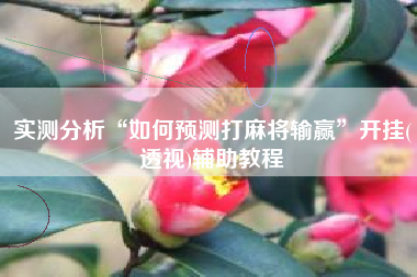 实测分析“如何预测打麻将输赢”开挂(透视)辅助教程