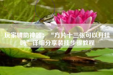 玩家辅助神器:“方片十三张可以开挂吗”详细分享装挂步骤教程 玩家辅助神器:“方片十三张可以开挂吗”详细分享装挂步骤教程