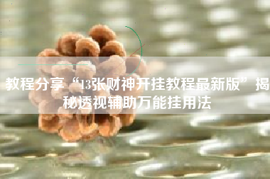 教程分享“13张财神开挂教程最新版”揭秘透视辅助万能挂用法 教程分享“13张财神开挂教程最新版”揭秘透视辅助万能挂用法