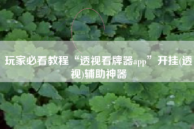 玩家必看教程“透视看牌器app”开挂(透视)辅助神器 玩家必看教程“透视看牌器app”开挂(透视)辅助神器