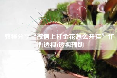 教程分享“微信上打金花怎么开挂”作弊(透视)透视辅助