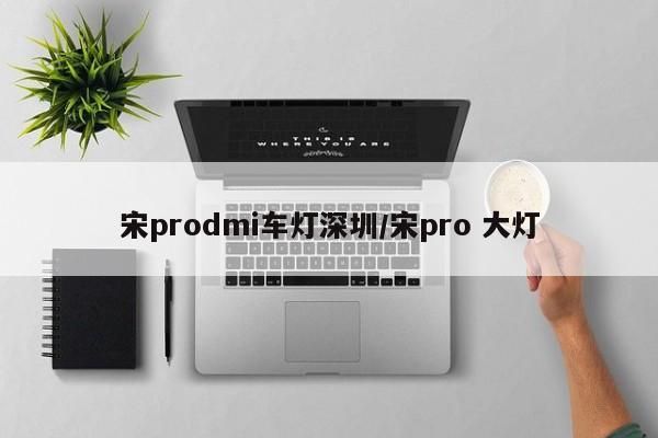 宋prodmi车灯深圳/宋pro 大灯