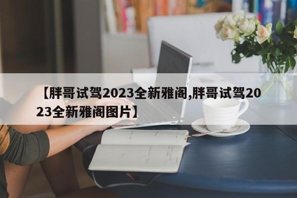 【胖哥试驾2023全新雅阁,胖哥试驾2023全新雅阁图片】