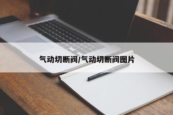 气动切断阀/气动切断阀图片