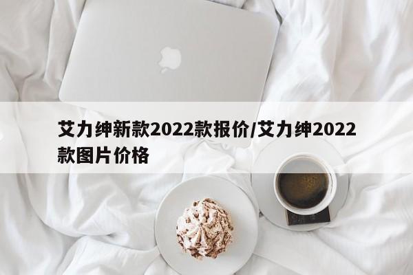 艾力绅新款2022款报价/艾力绅2022款图片价格