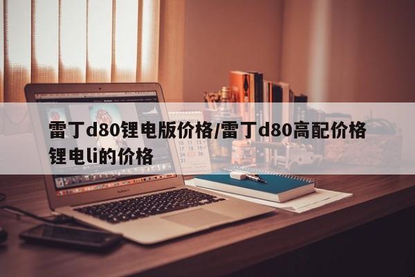 雷丁d80锂电版价格/雷丁d80高配价格锂电li的价格
