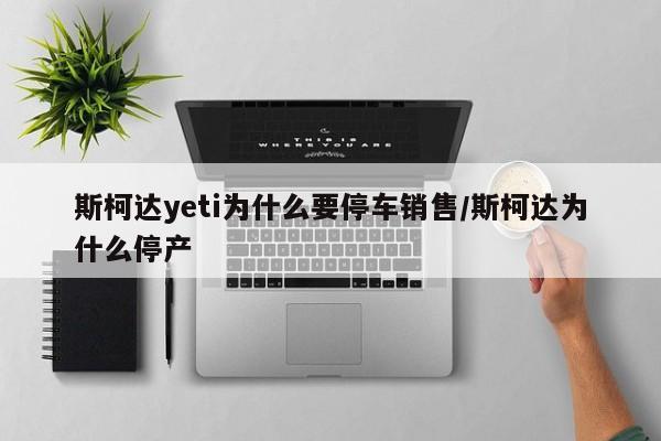 斯柯达yeti为什么要停车销售/斯柯达为什么停产